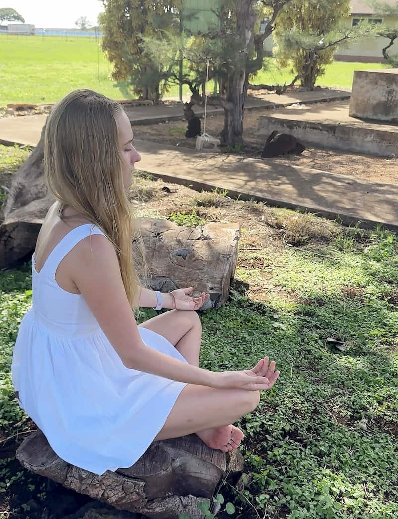 Diagram showing energy flow